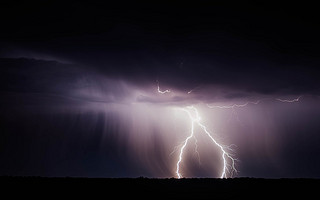 ../../../static/picture/31173156102.jpg